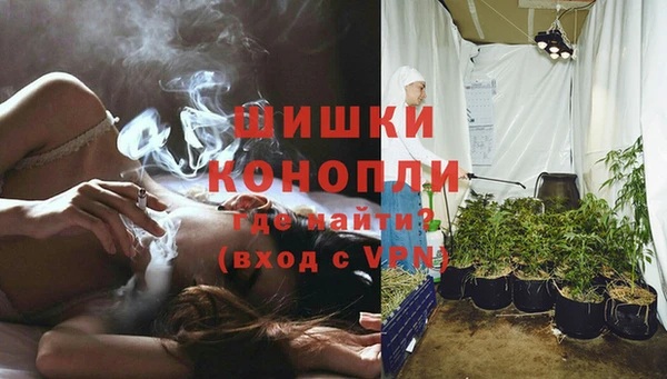 бошки Пересвет