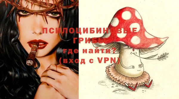 бошки Пересвет
