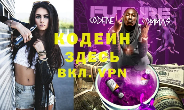 бошки Пересвет
