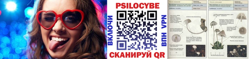 блэк спрут зеркало  Курлово  Галлюциногенные грибы Psilocybine cubensis 